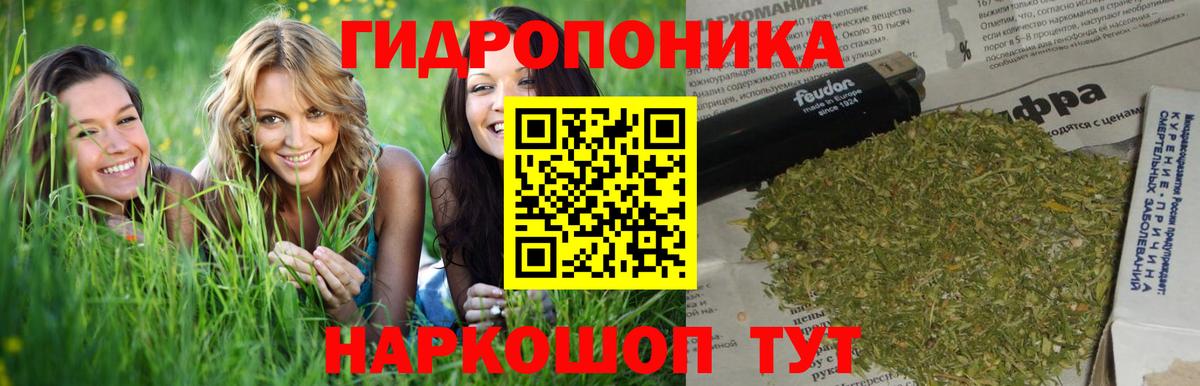 Канабис White Widow Междуреченск